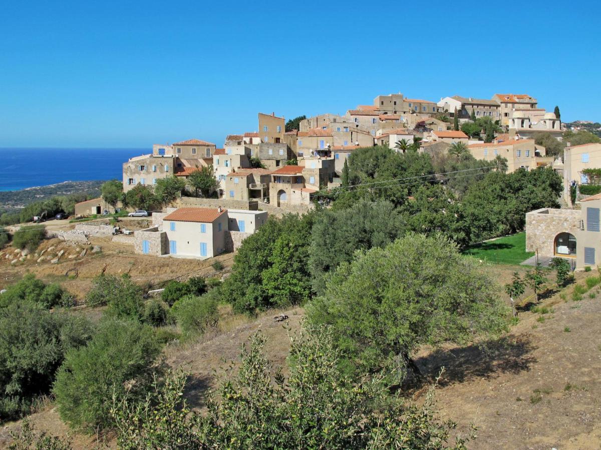 Apartment Thalassa - Cal200 By Interhome Corsica Island Exterior photo